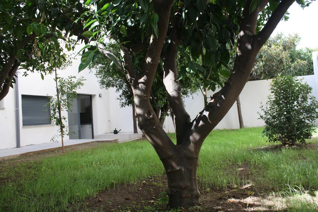 Residencia Mayol - Adults Only Palma de Mallorca Rom bilde